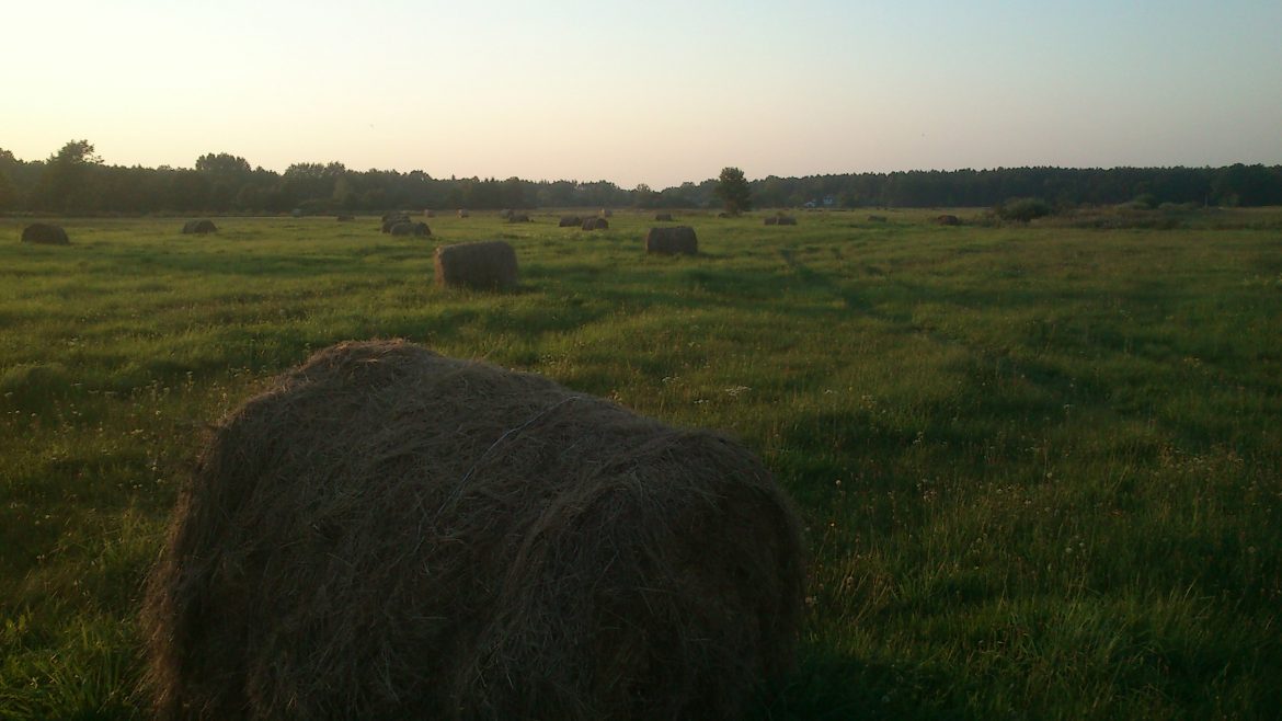 Ackerlandumsatz in Polen